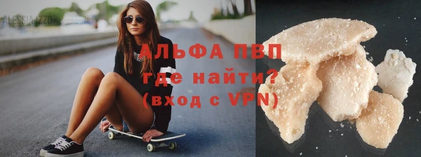 СК Сосновый Бор