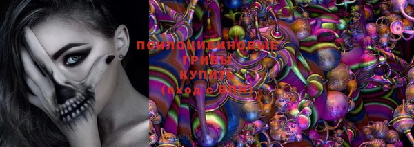 СК Сосновый Бор