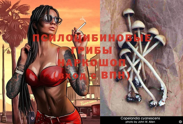 альфа пвп Бугульма