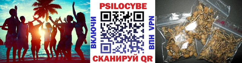 Галлюциногенные грибы ЛСД  мега зеркало  Елабуга 